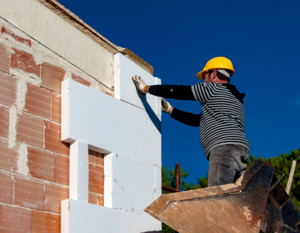 Best Spray Foam Insulation  in Zapata, TX