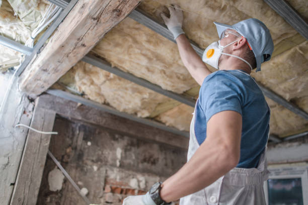 Insulation Inspection Services in Zapata, TX
