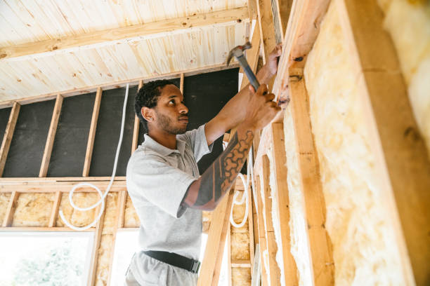 Best Insulation Replacement Services  in Zapata, TX