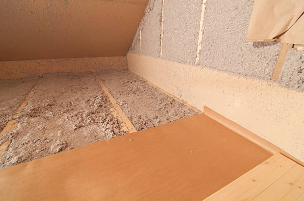 Best Local Insulation Services  in Zapata, TX