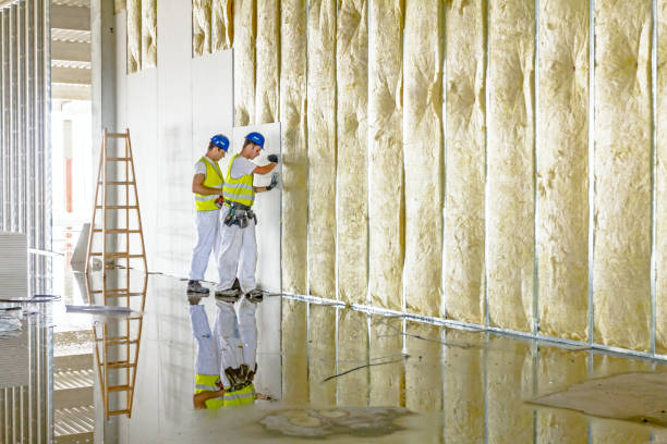 Best Soundproof Insulation Installation  in Zapata, TX